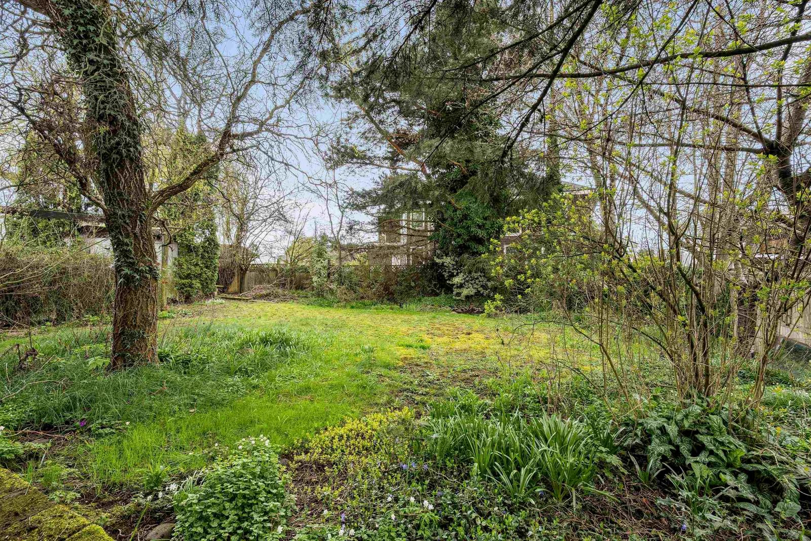 Listing Image 29