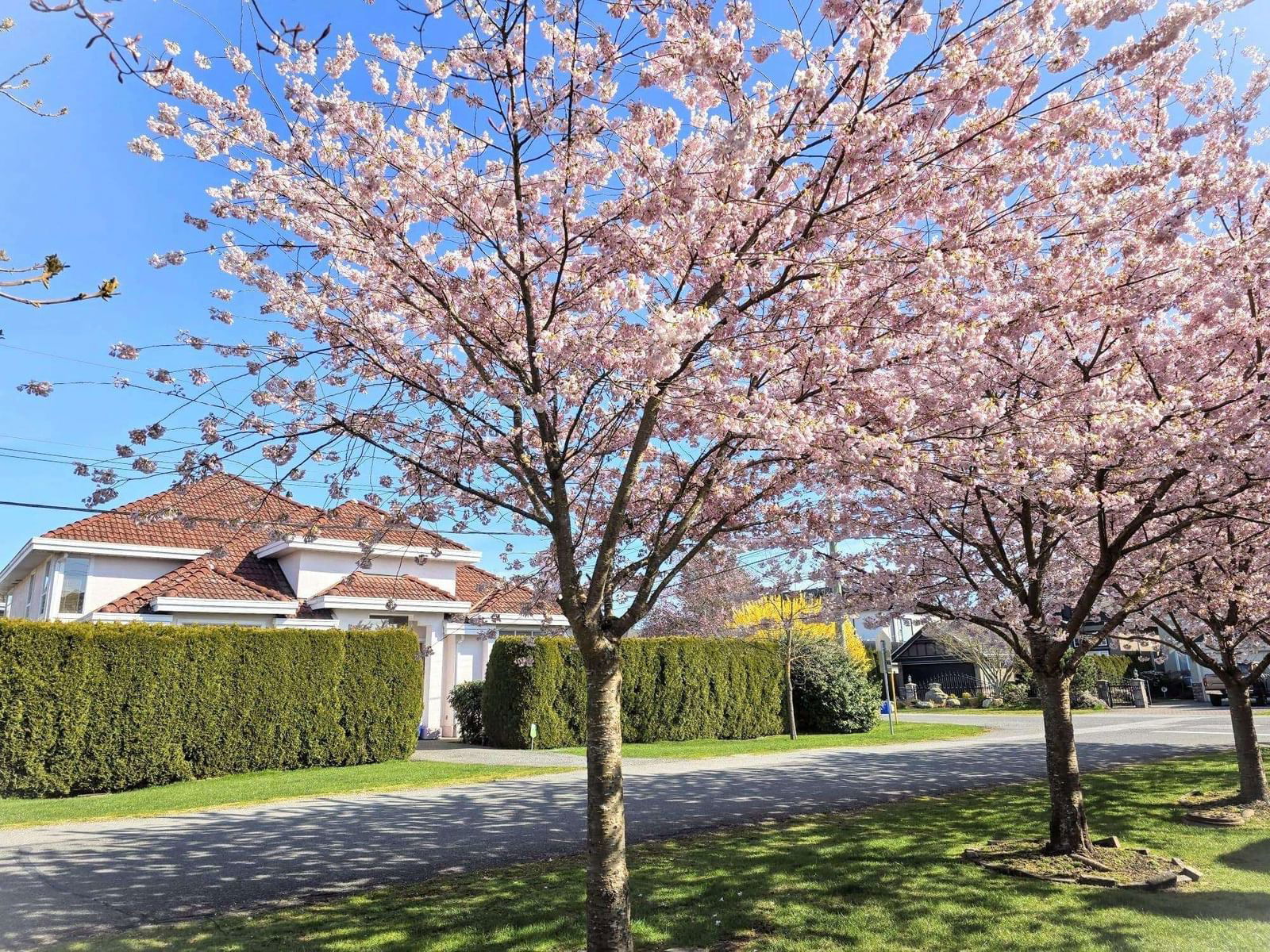 Image of home for listing MLS® R2985254