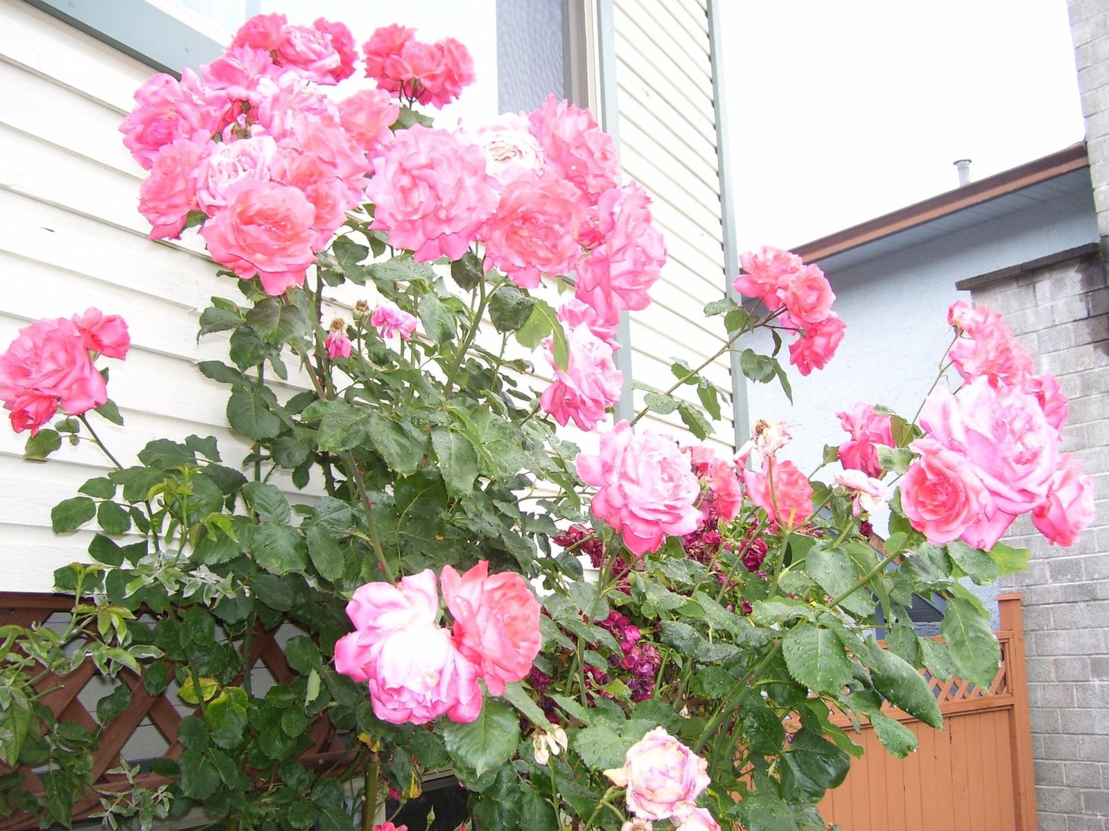Listing Image 34