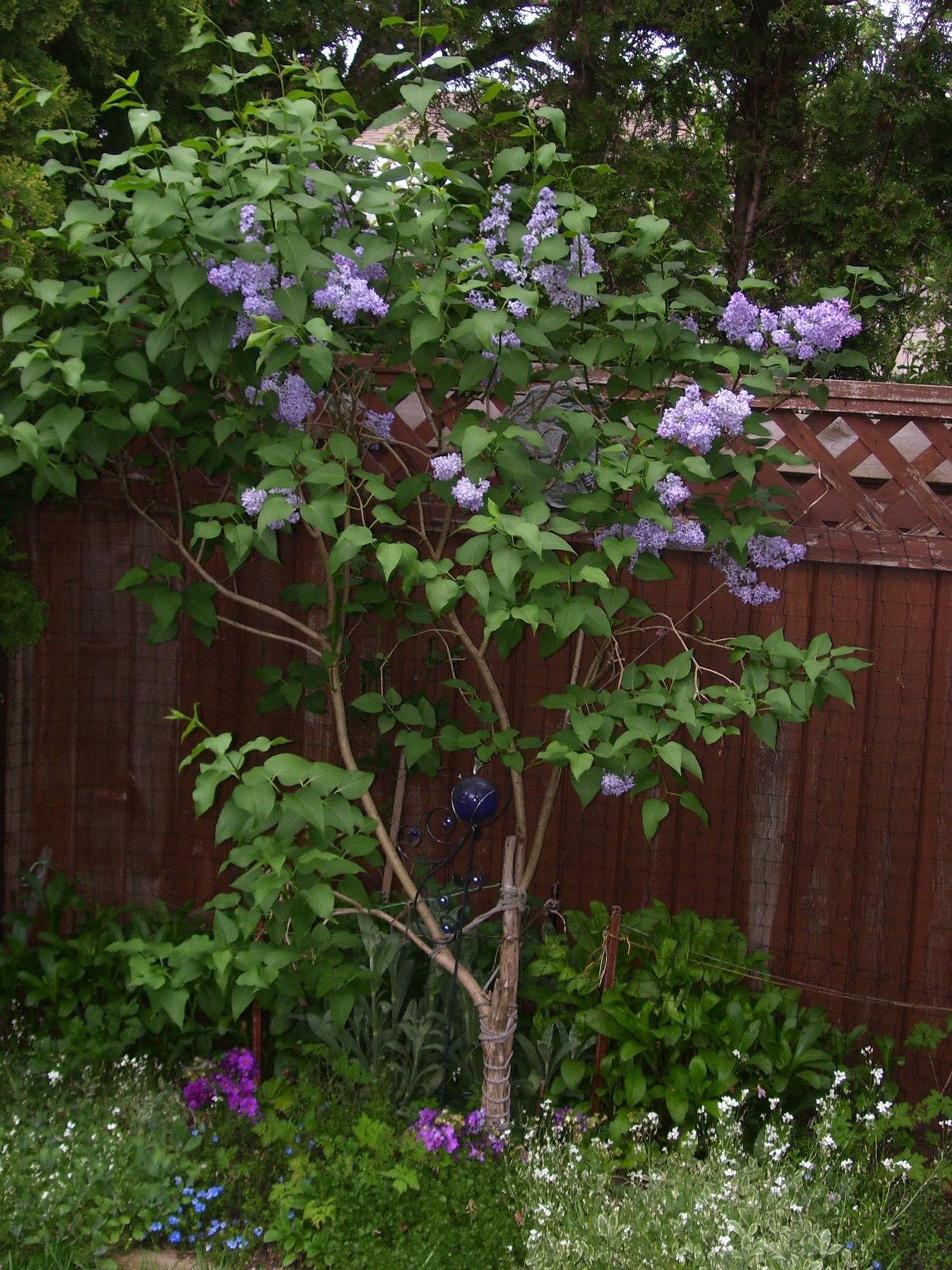Listing Image 37