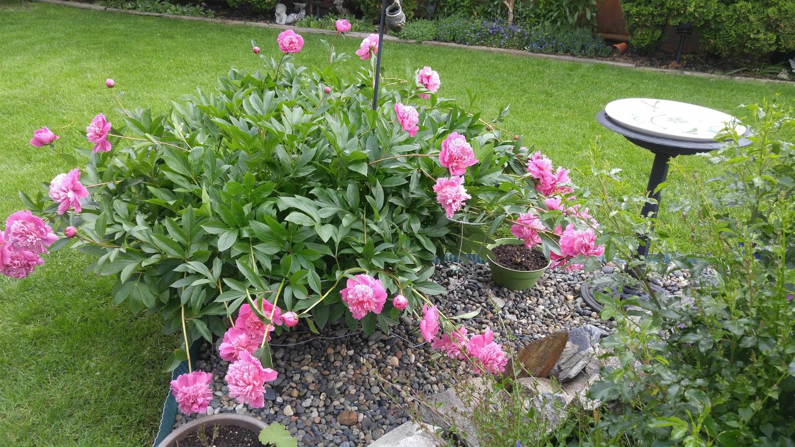 Listing Image 38