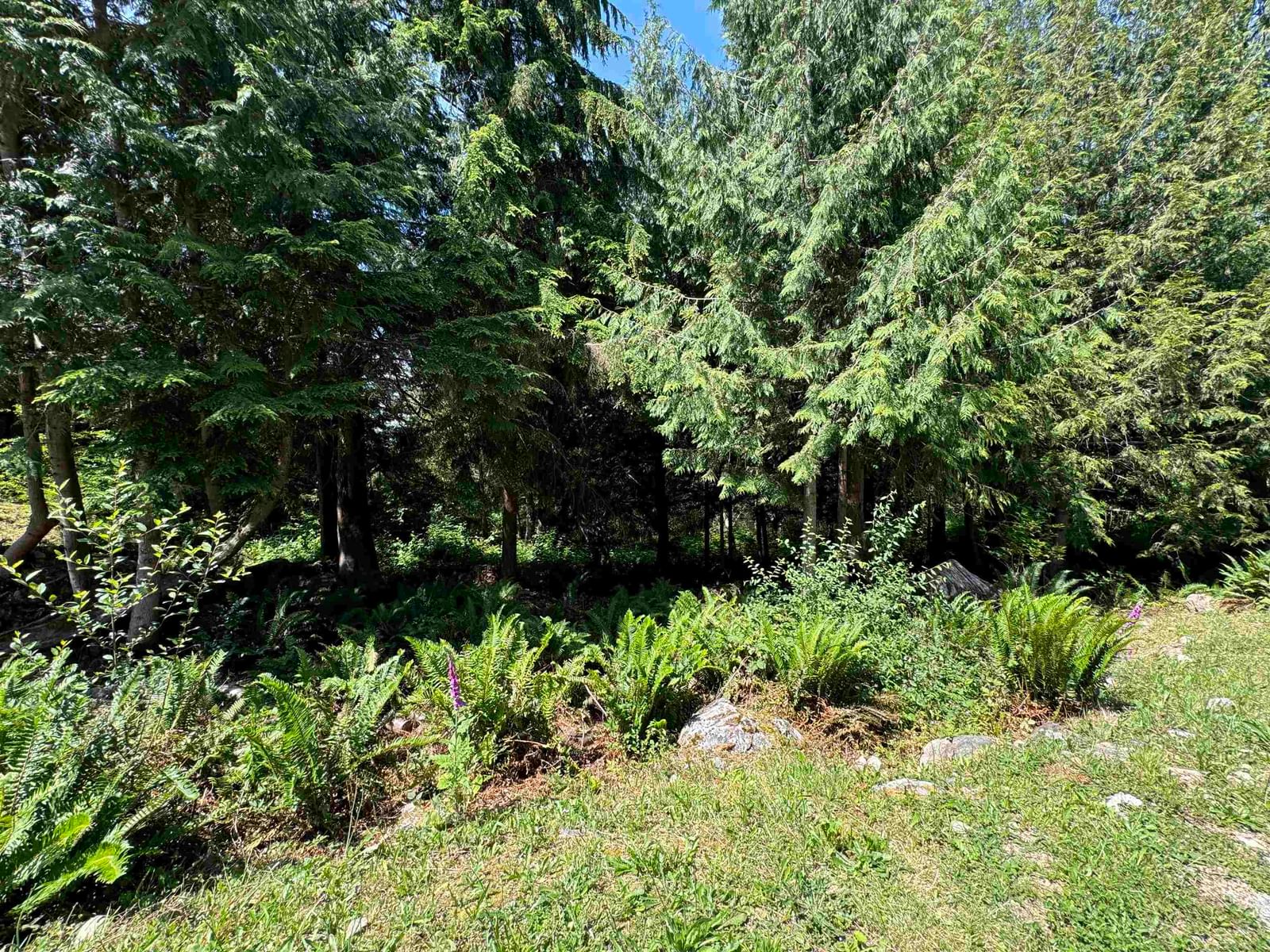 Listing Image 25
