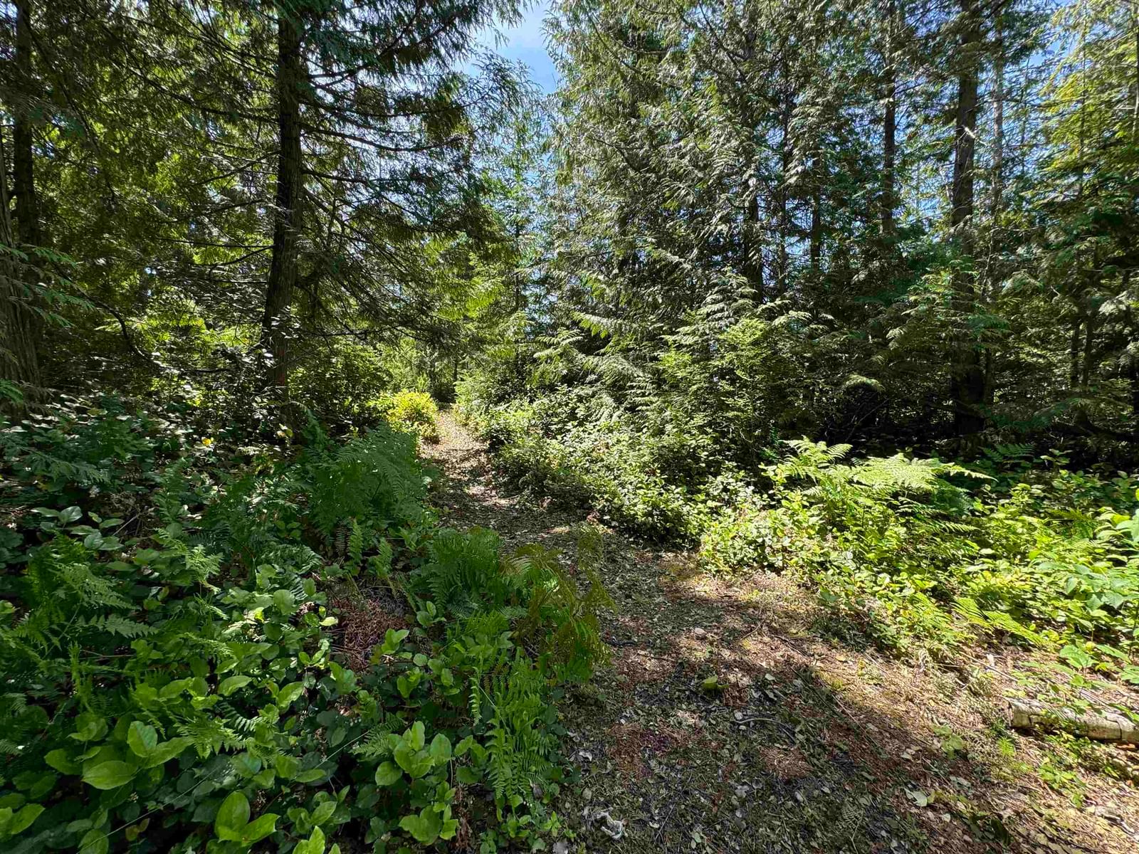 Listing Image 33