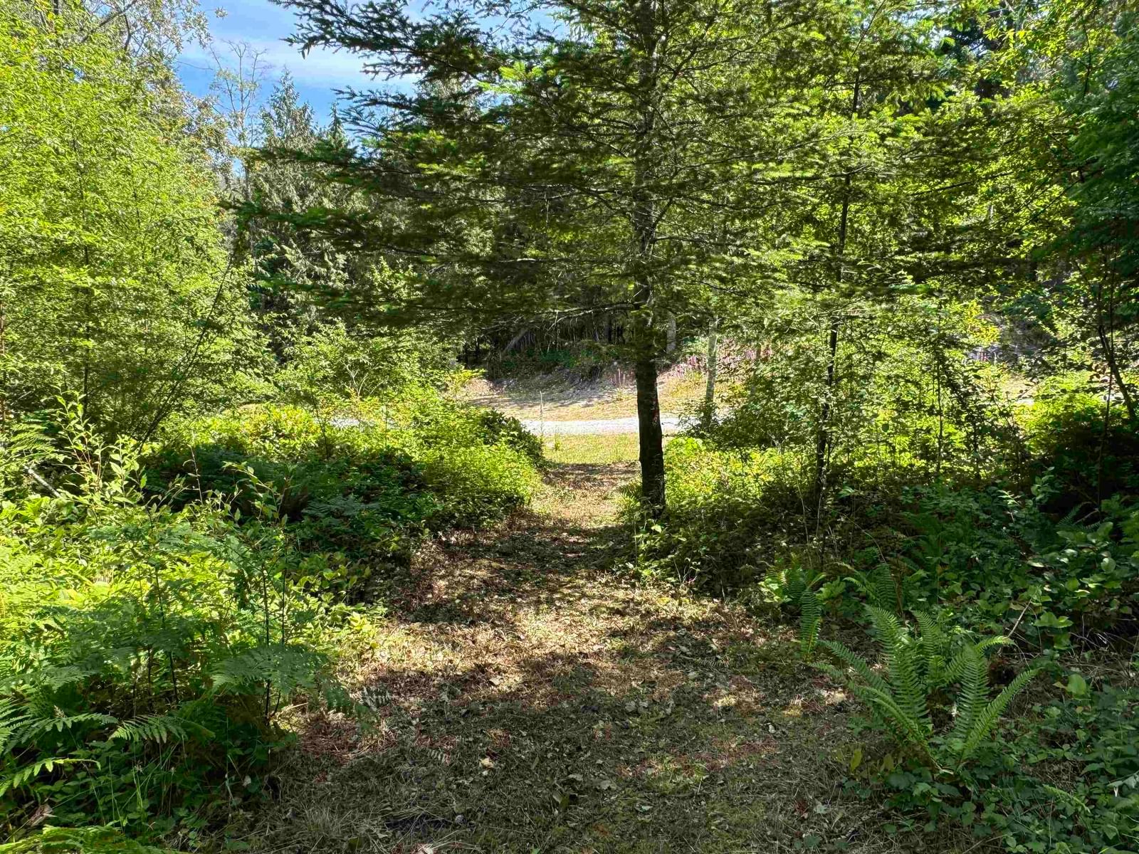 Listing Image 34