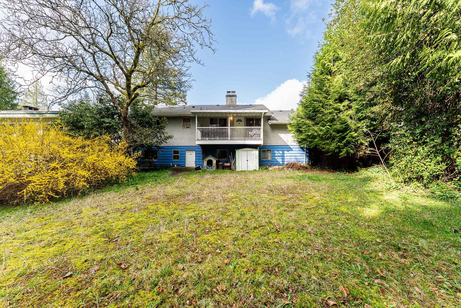 Listing Image 20