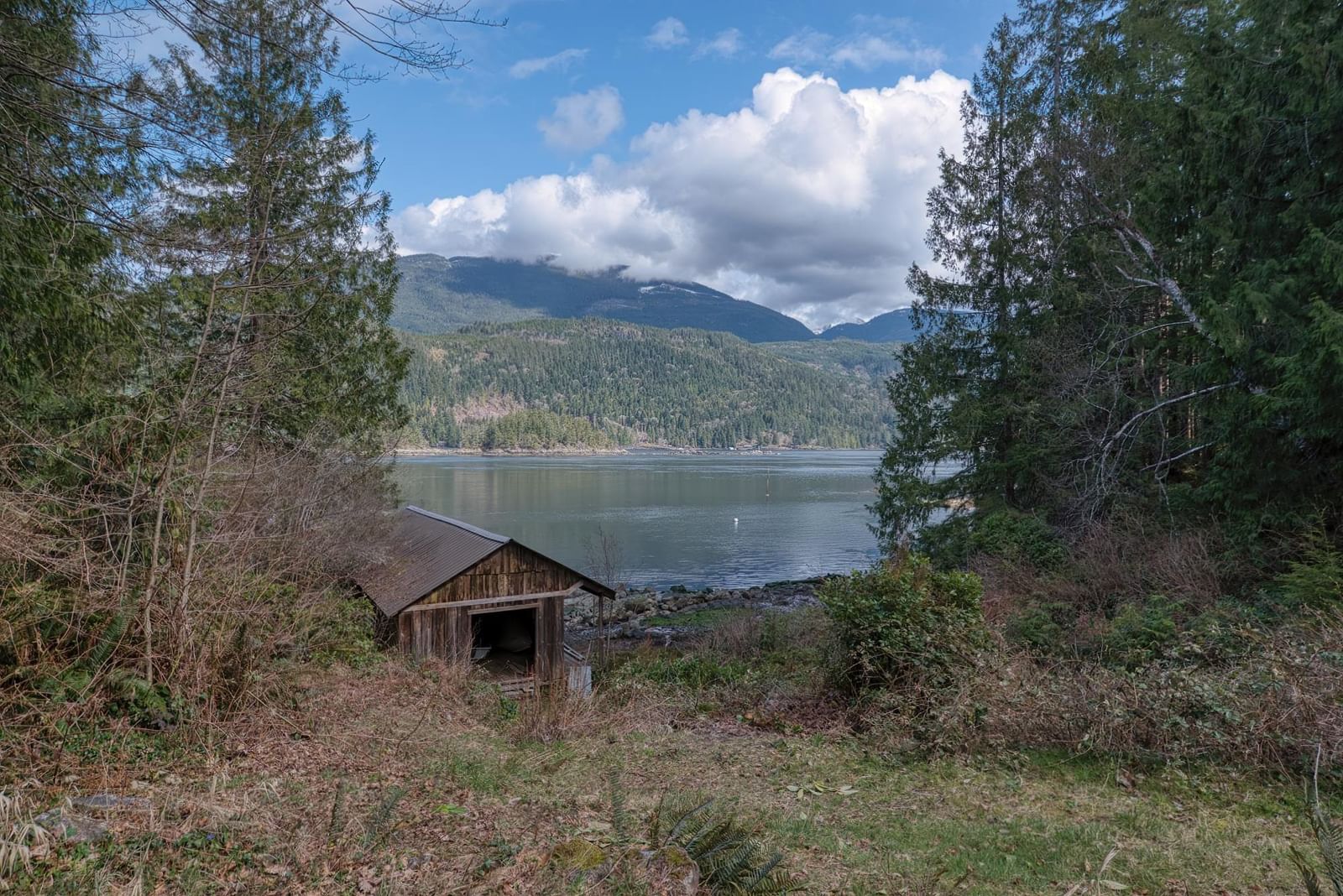 Listing Image 20