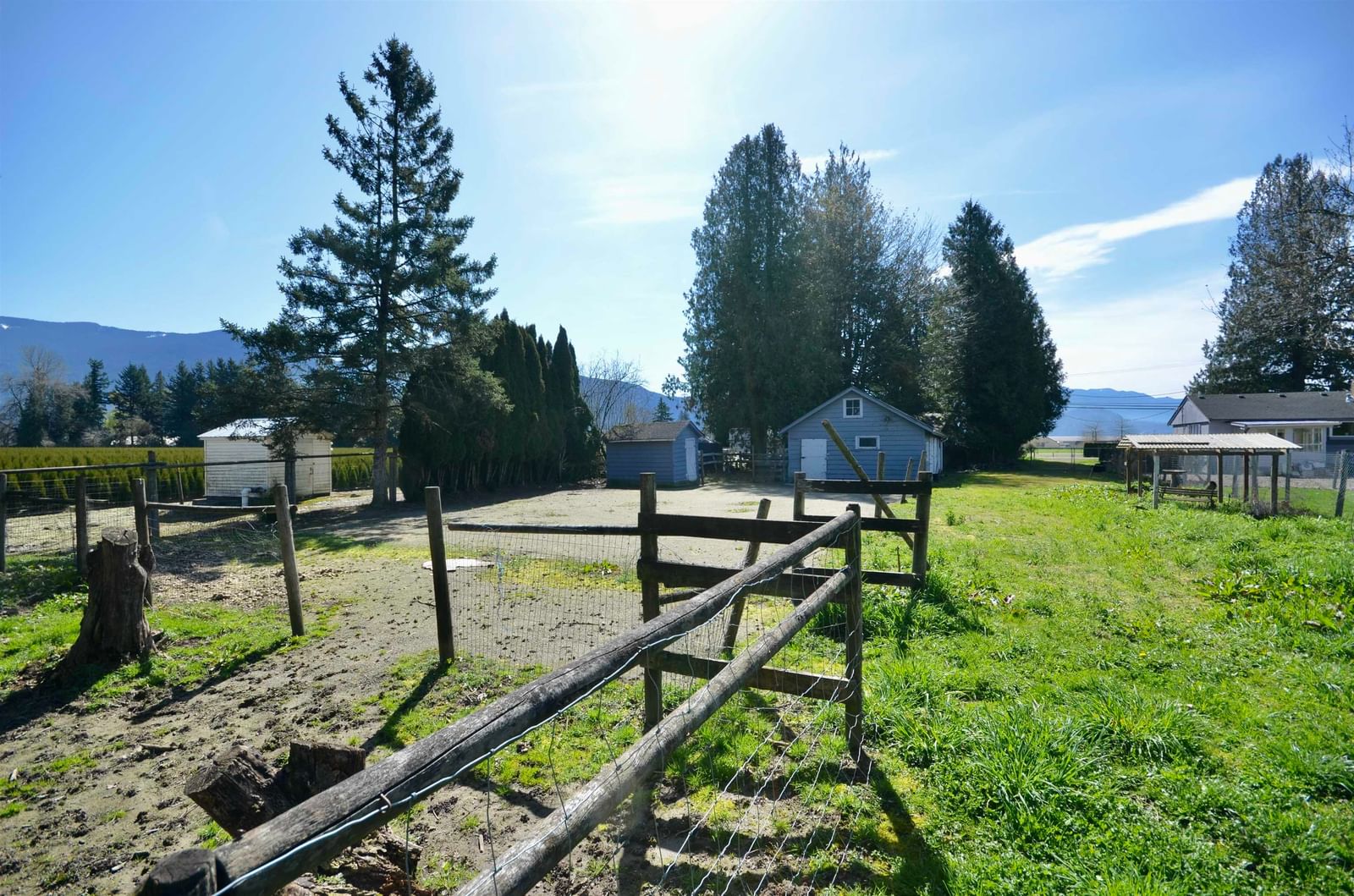 Listing Image 4