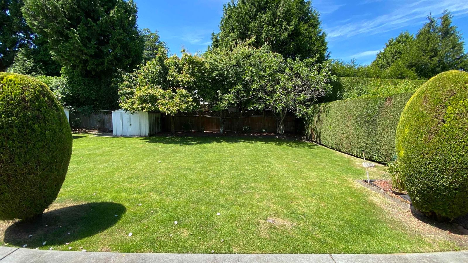 Listing Image 23