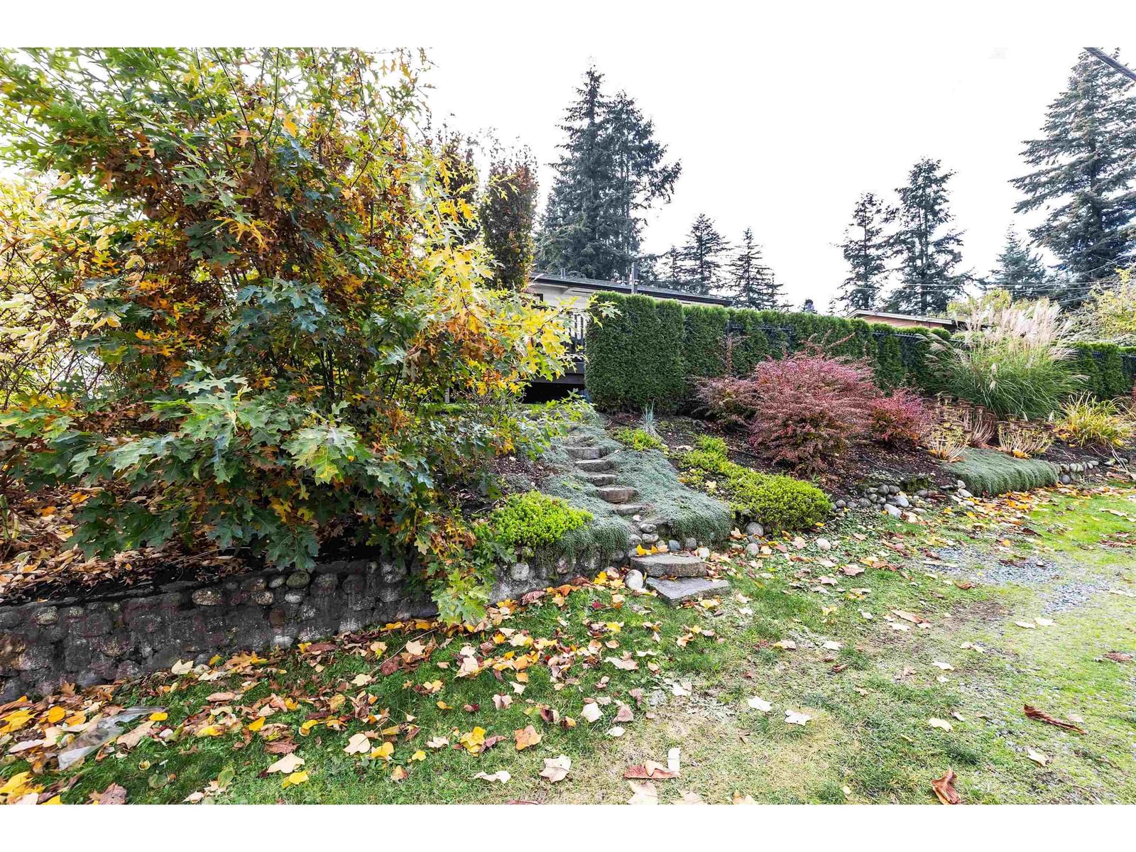 Listing Image 37