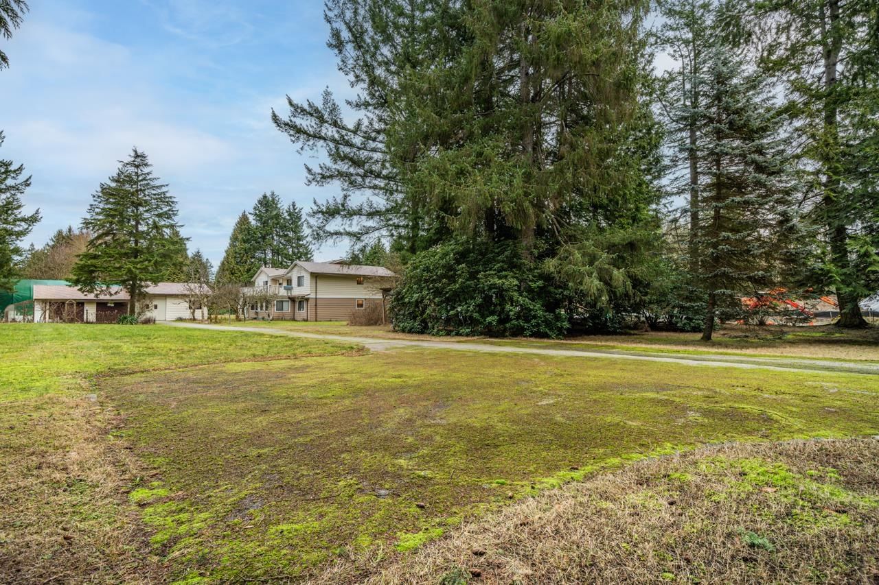 Listing Image 33