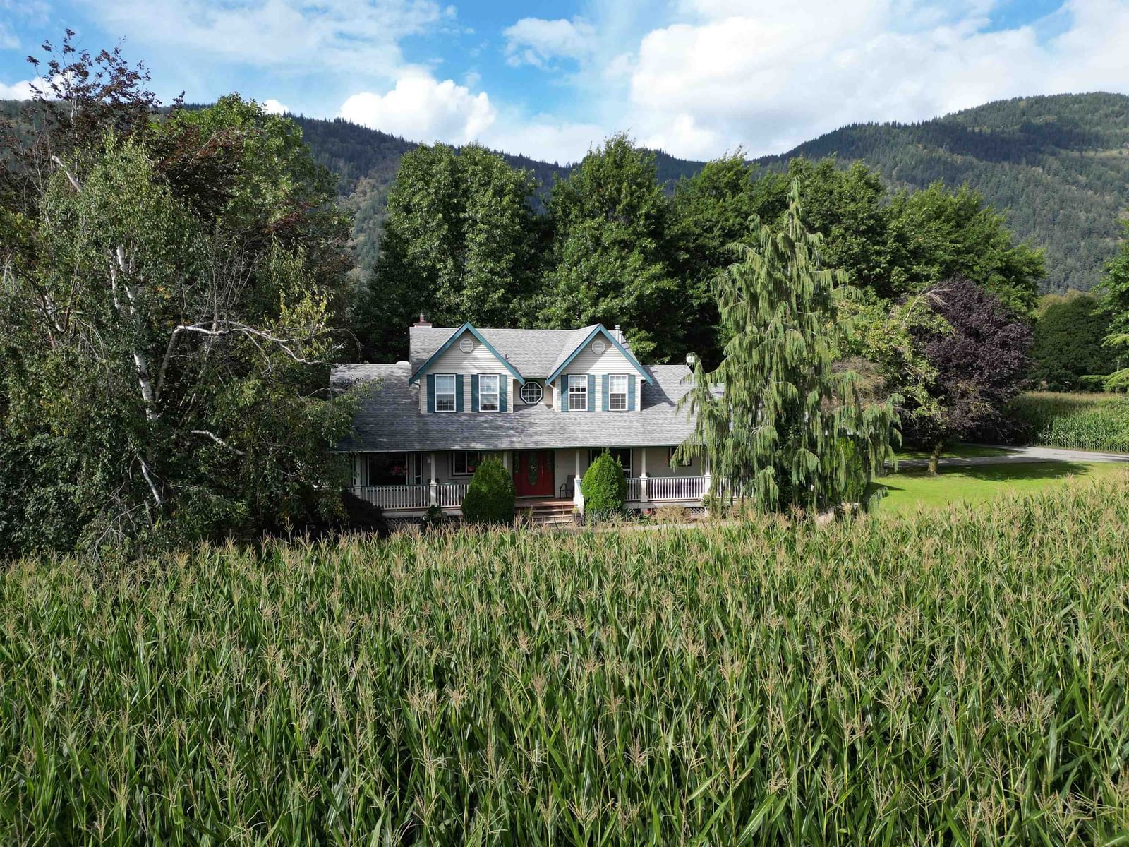 Listing Image 11