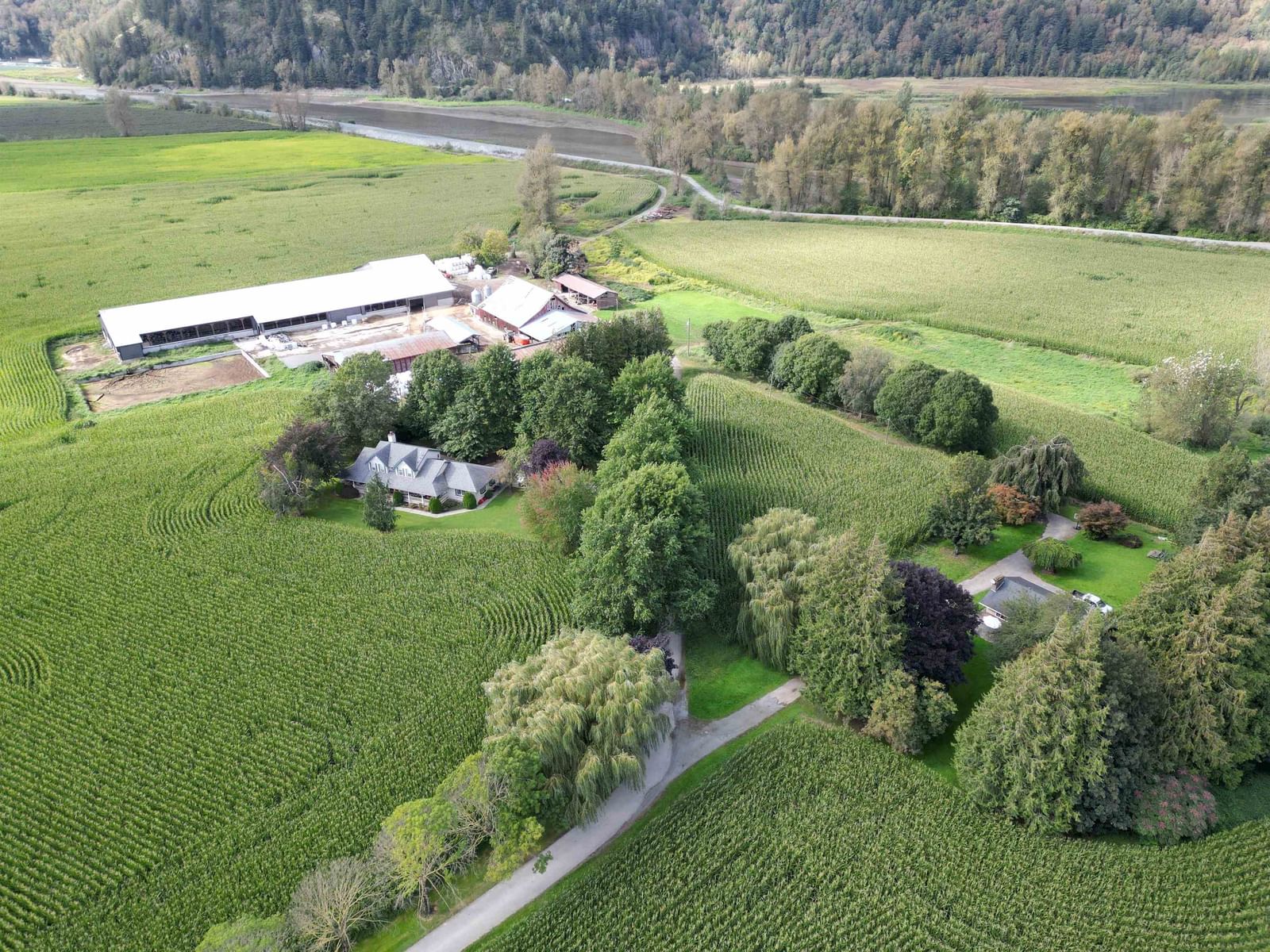 Listing Image 13