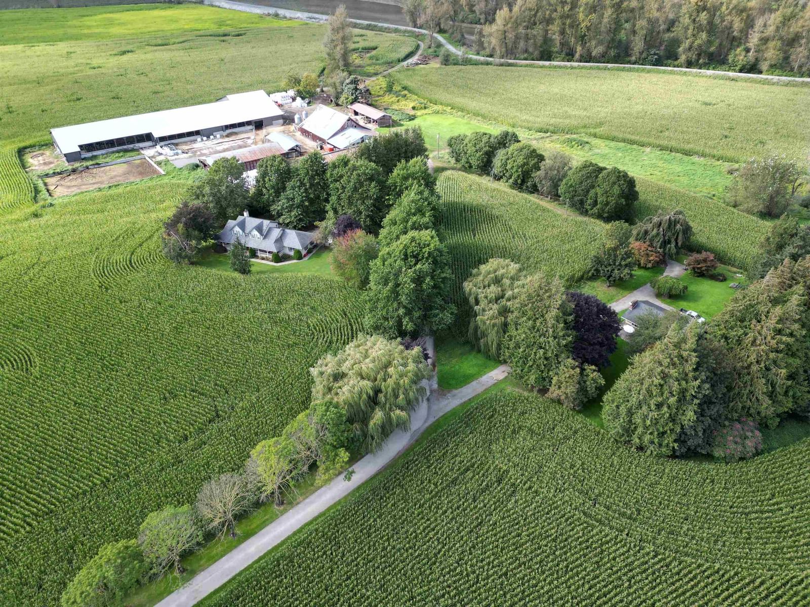 Listing Image 14