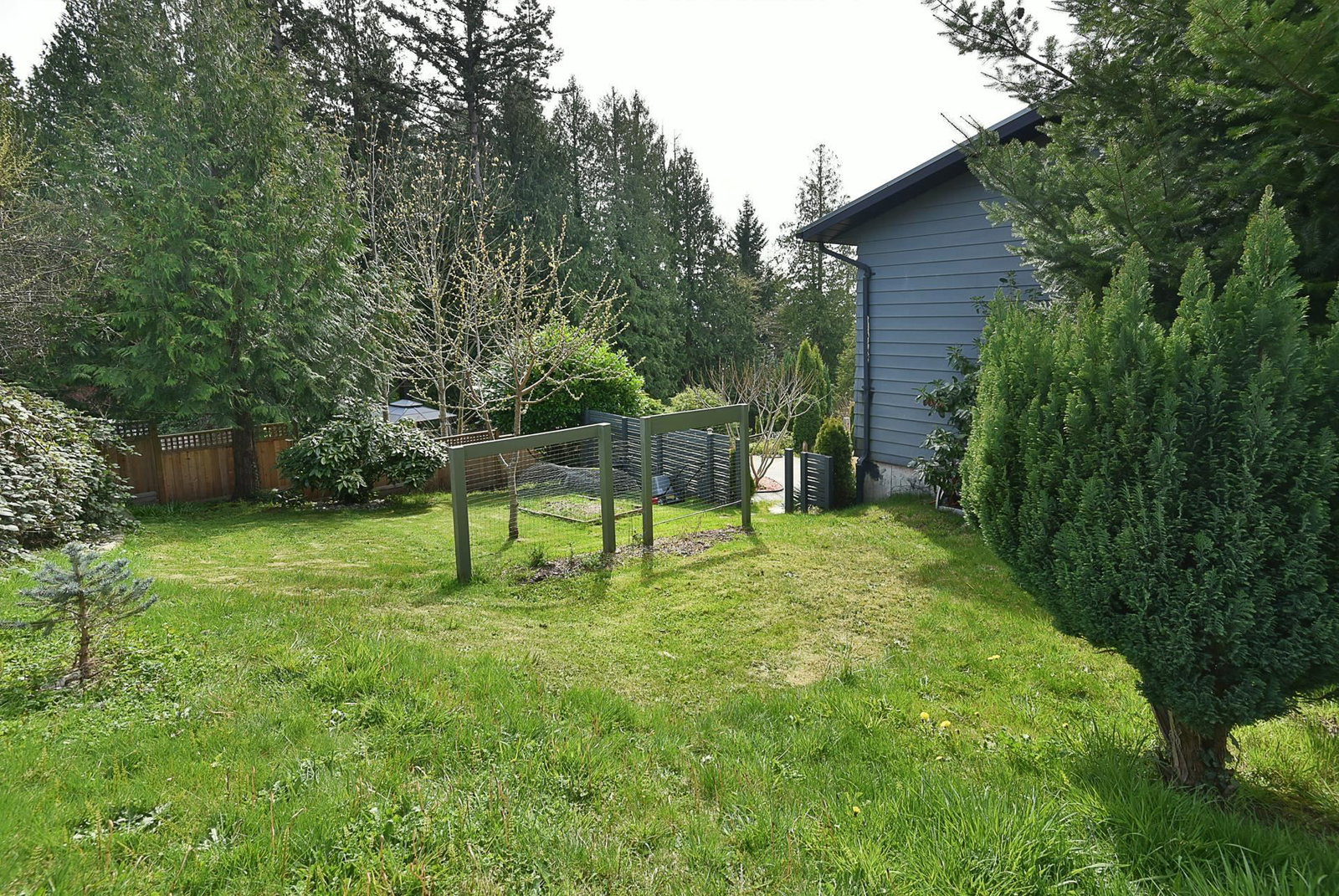 Listing Image 25