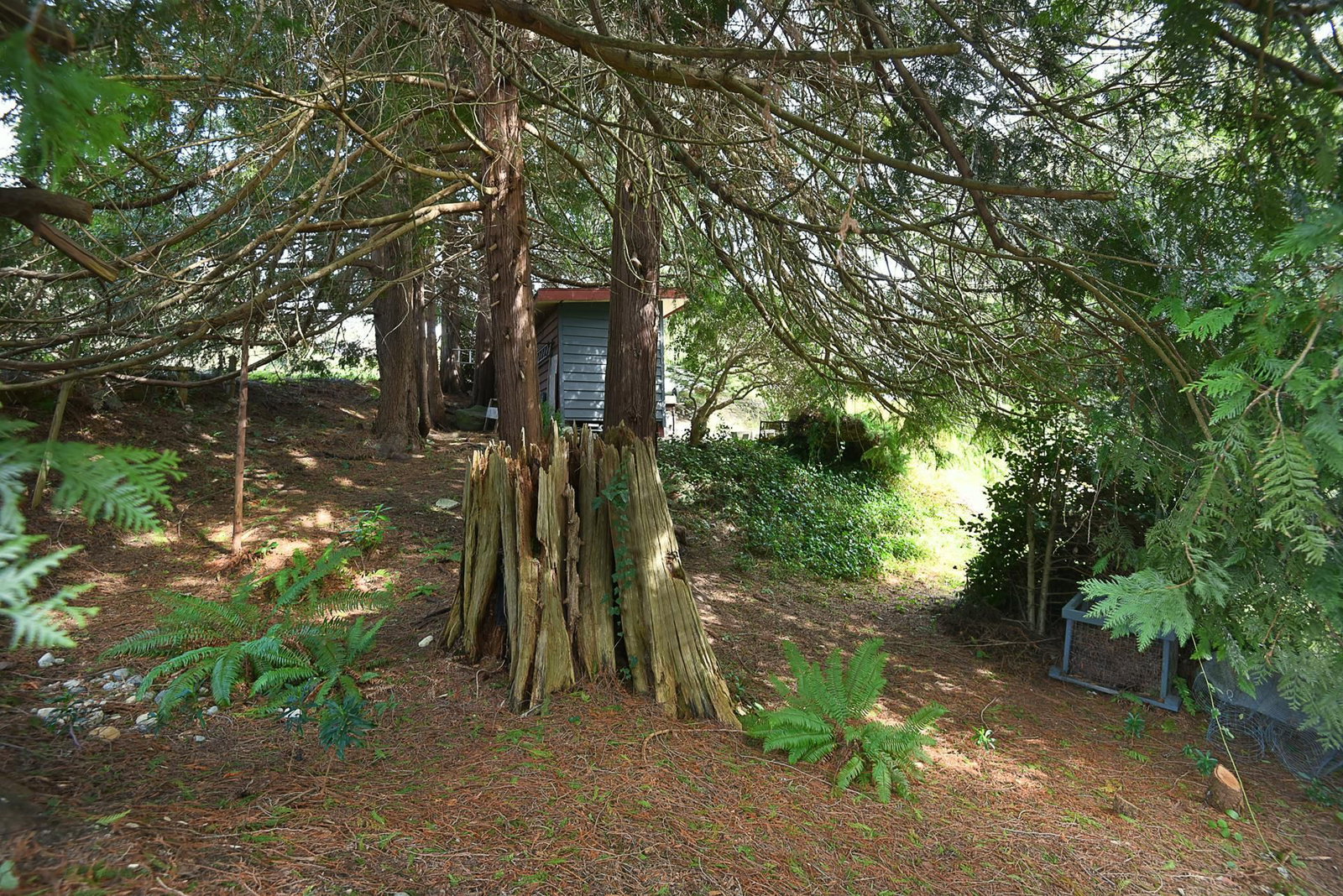 Listing Image 30