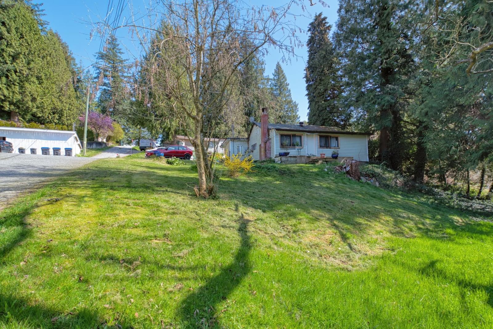 Listing Image 5