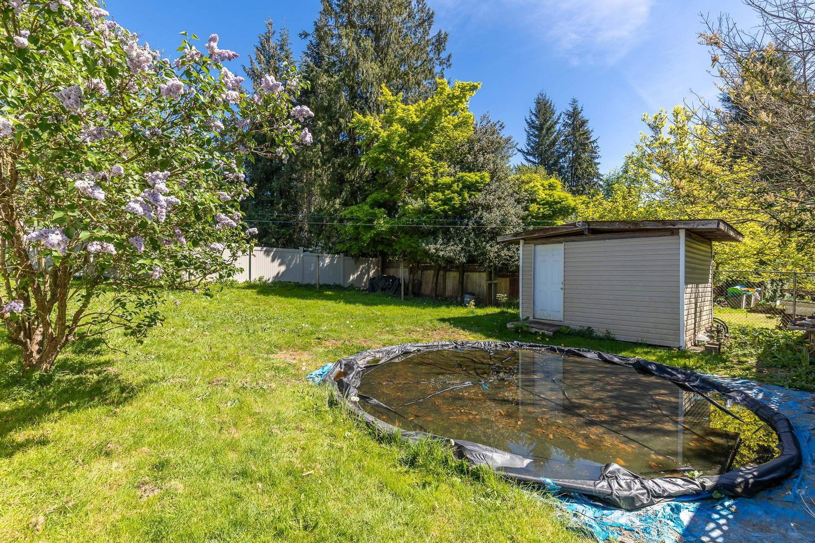 Listing Image 34
