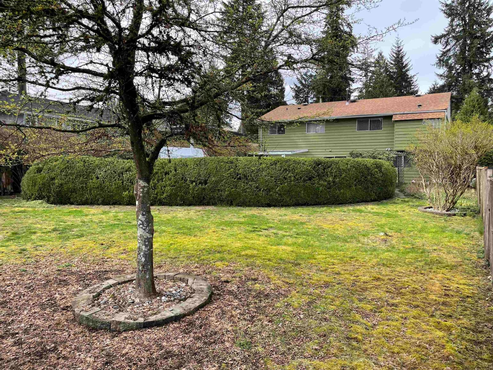 Listing Image 31