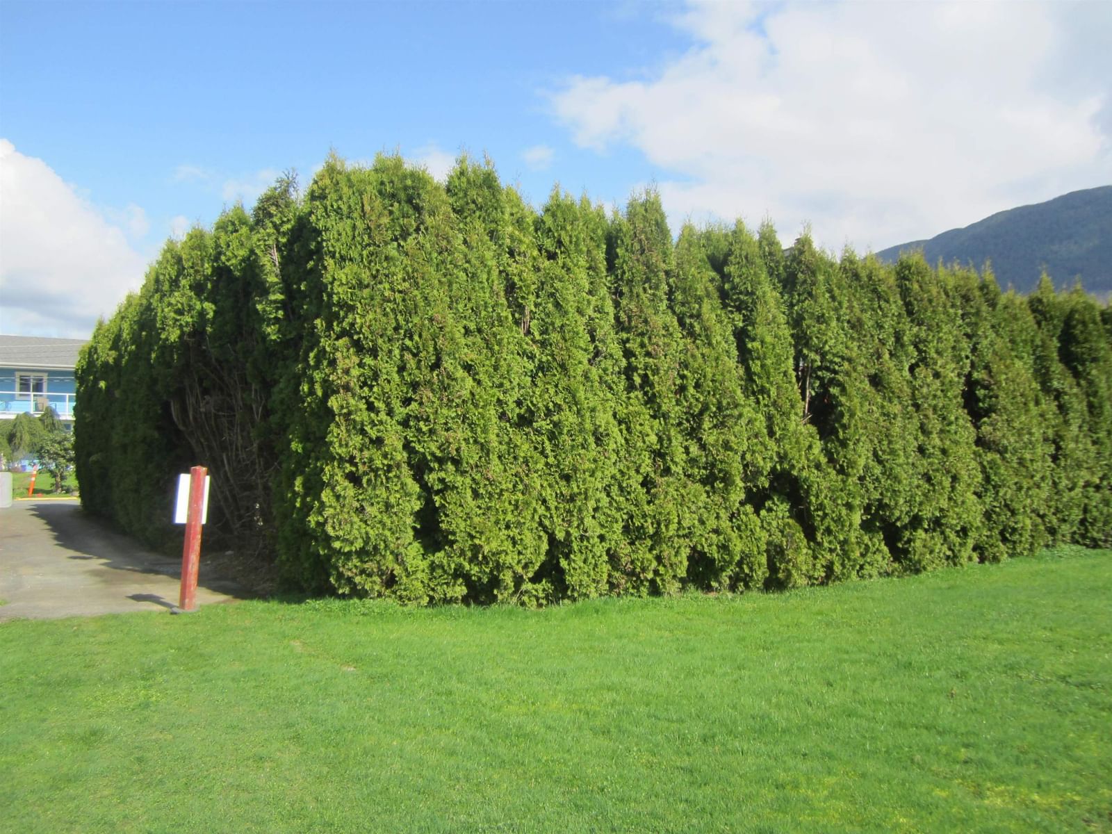 Listing Image 24
