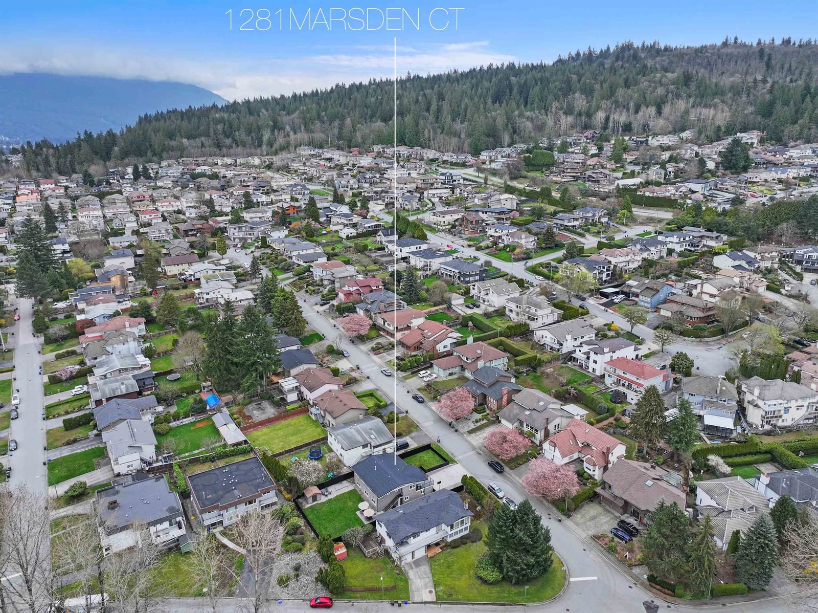 Listing Image 38