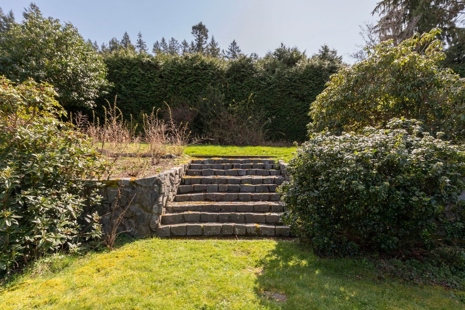 Listing Image 24