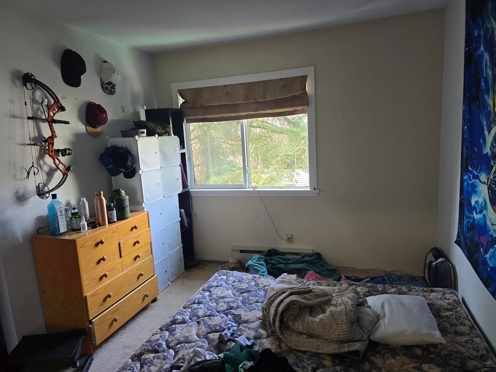 Listing Image 24