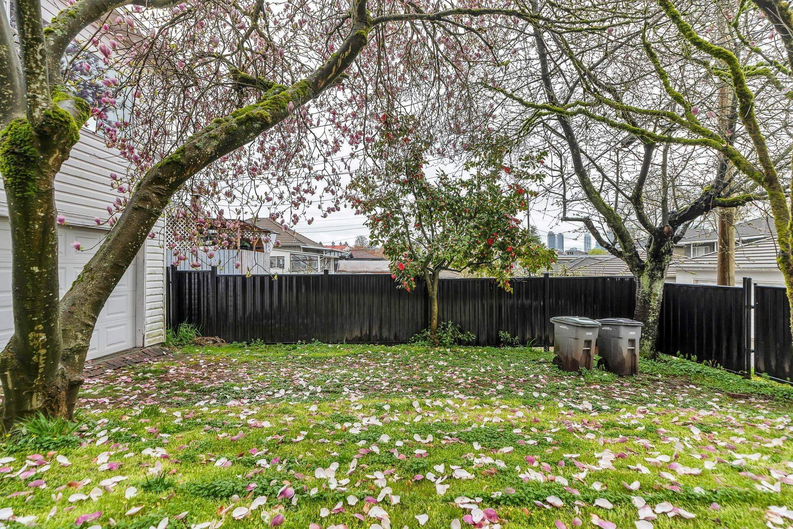 Listing Image 31