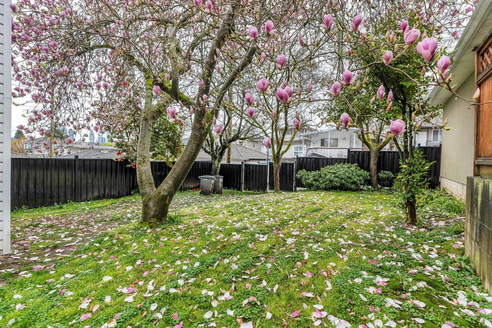 Listing Image 32