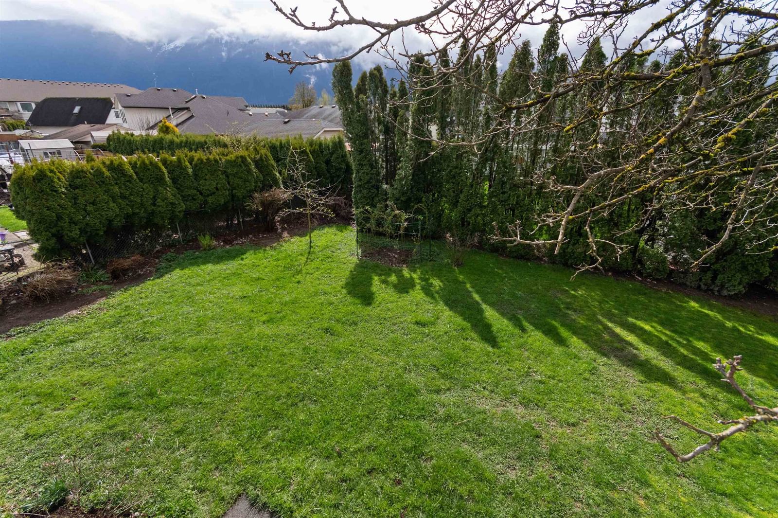 Listing Image 39