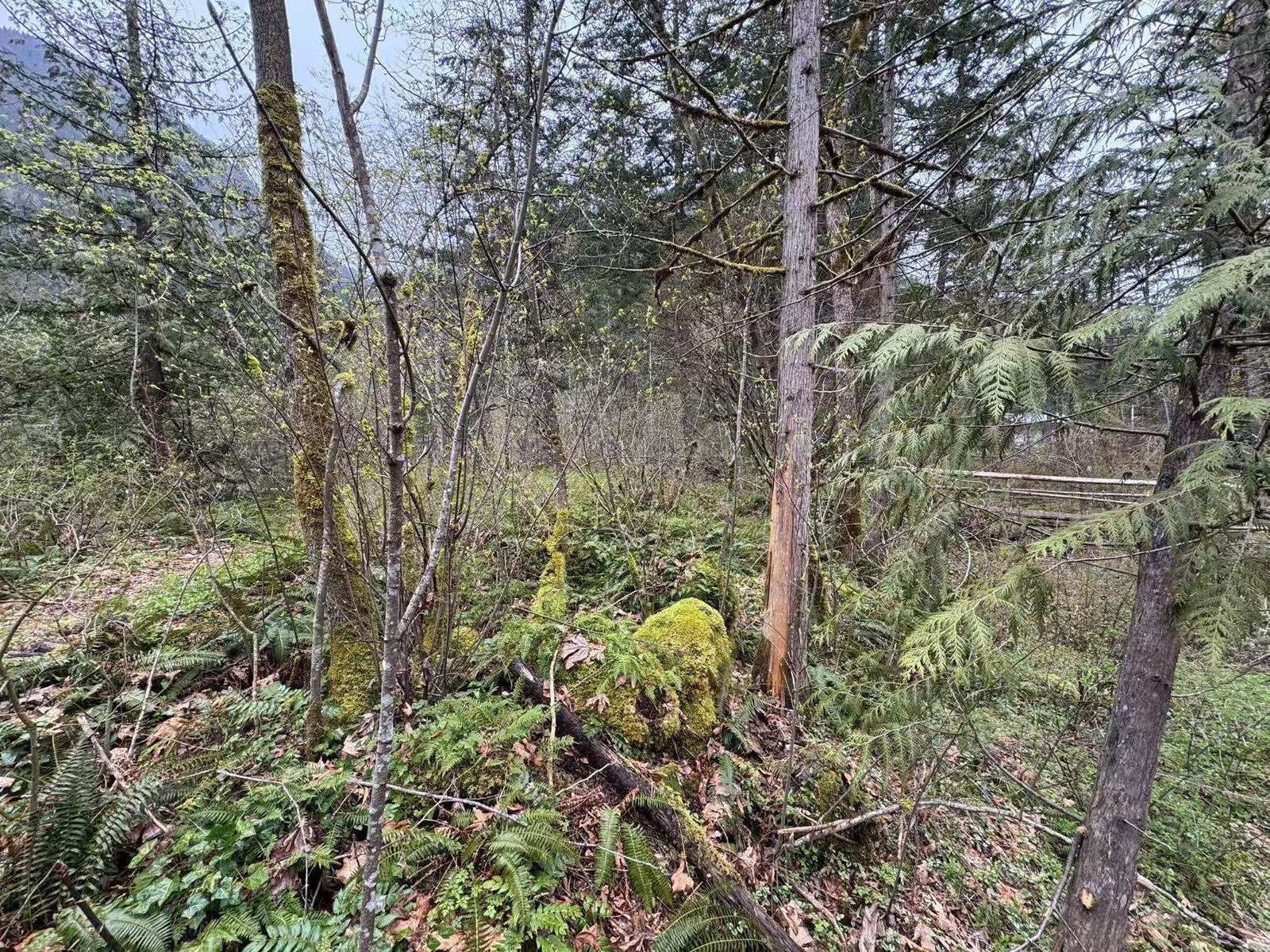 Listing Image 28