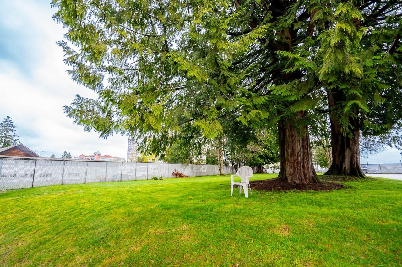 Listing Image 25