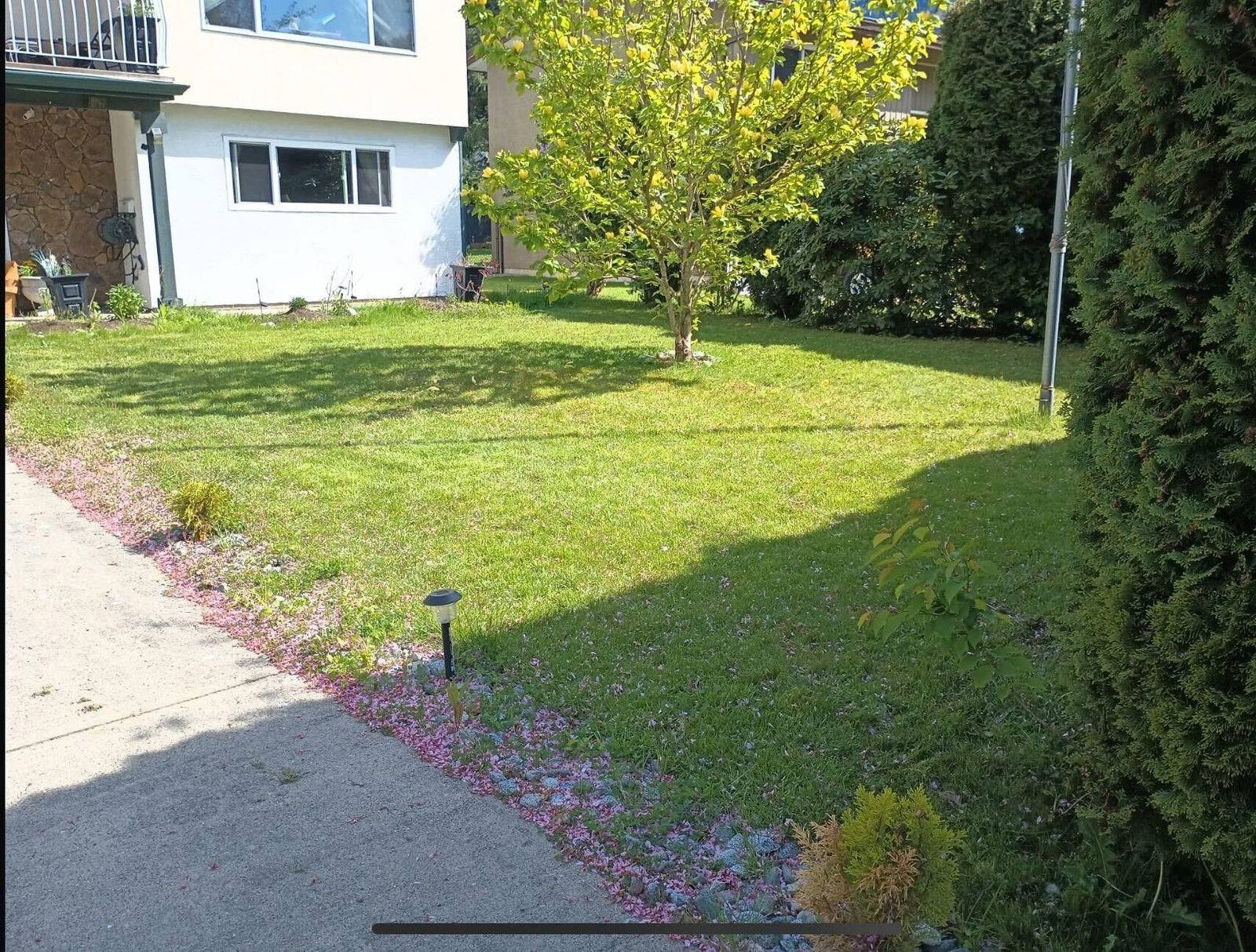 Listing Image 32