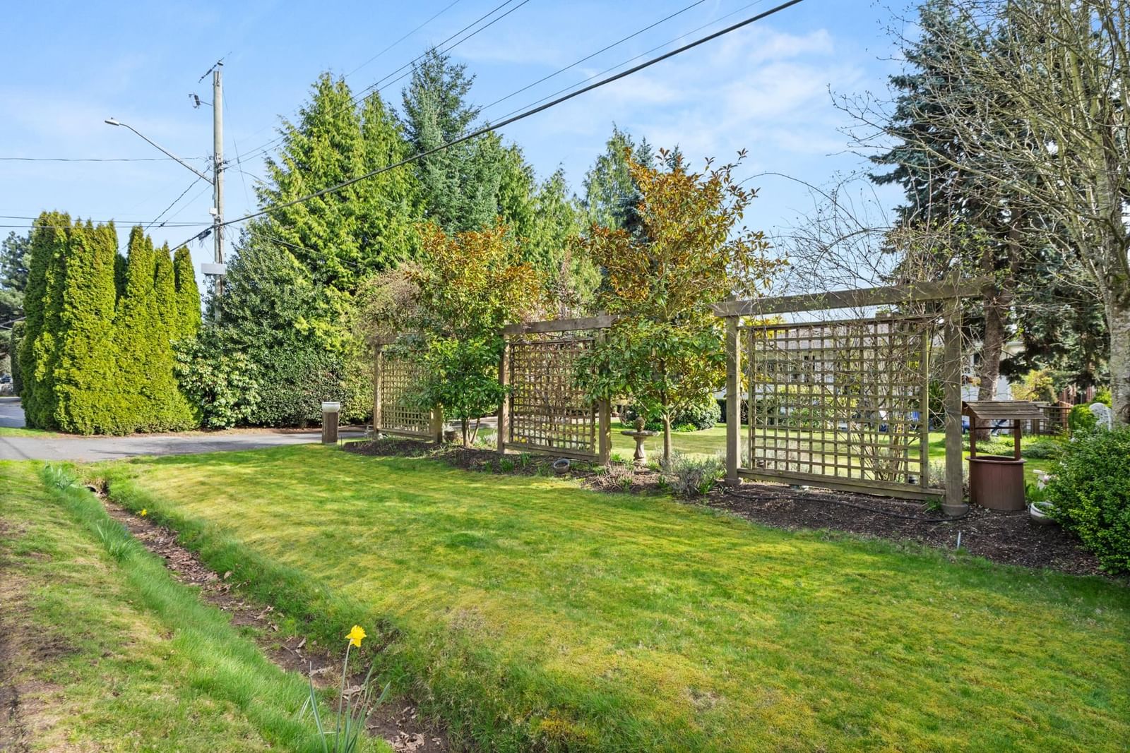 Listing Image 29