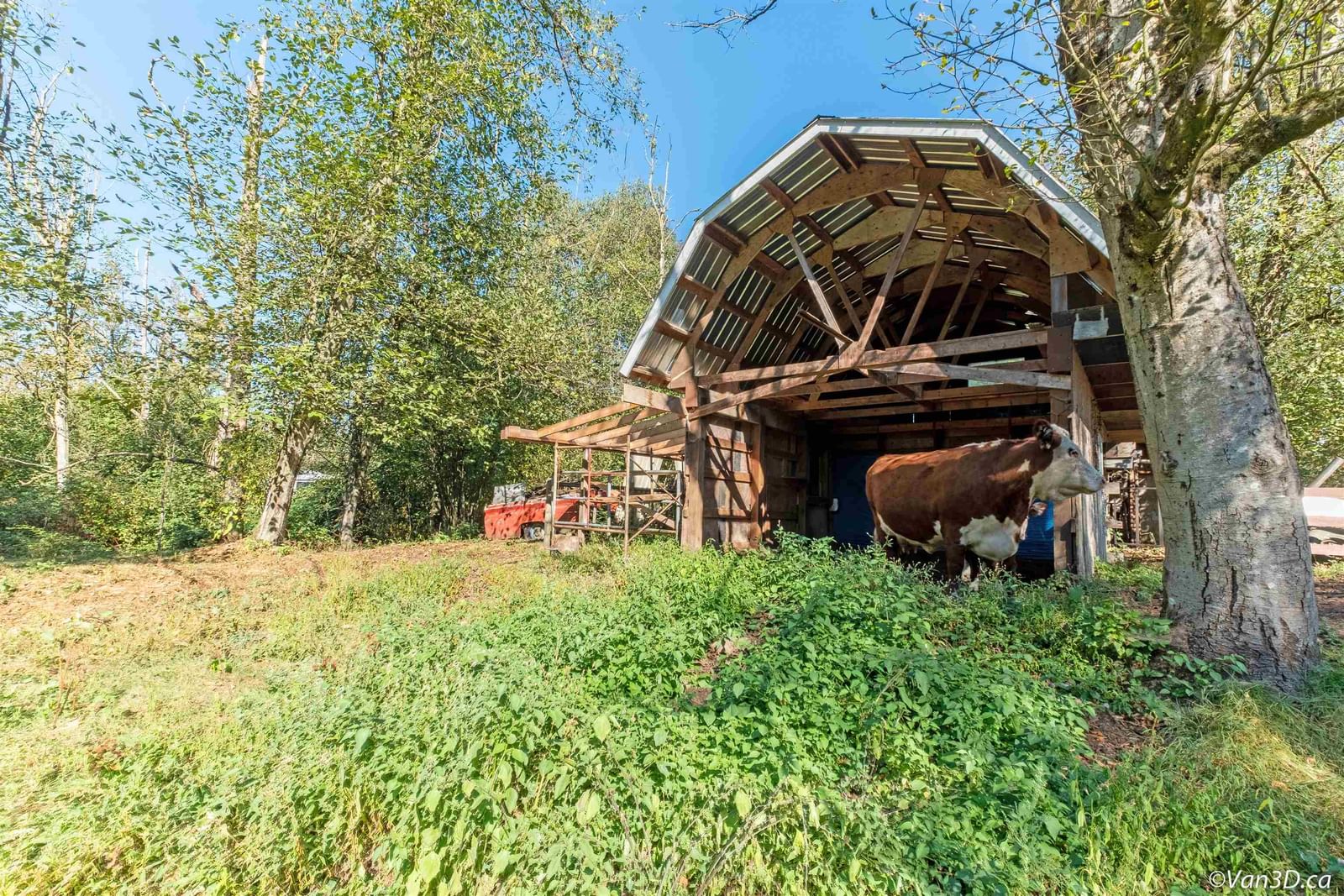 Listing Image 17