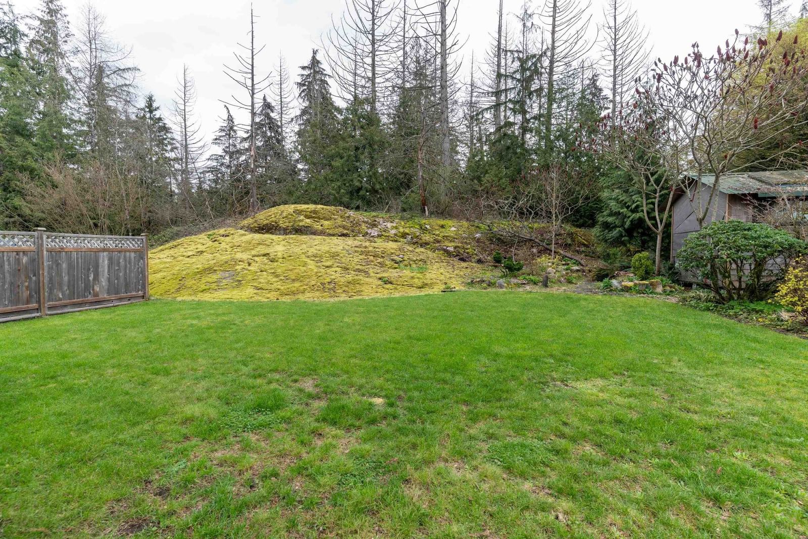 Listing Image 39