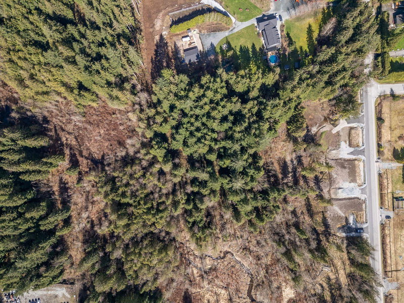 12167 Rolley Lake Street, Mission, V4S 1E1 | Image 3