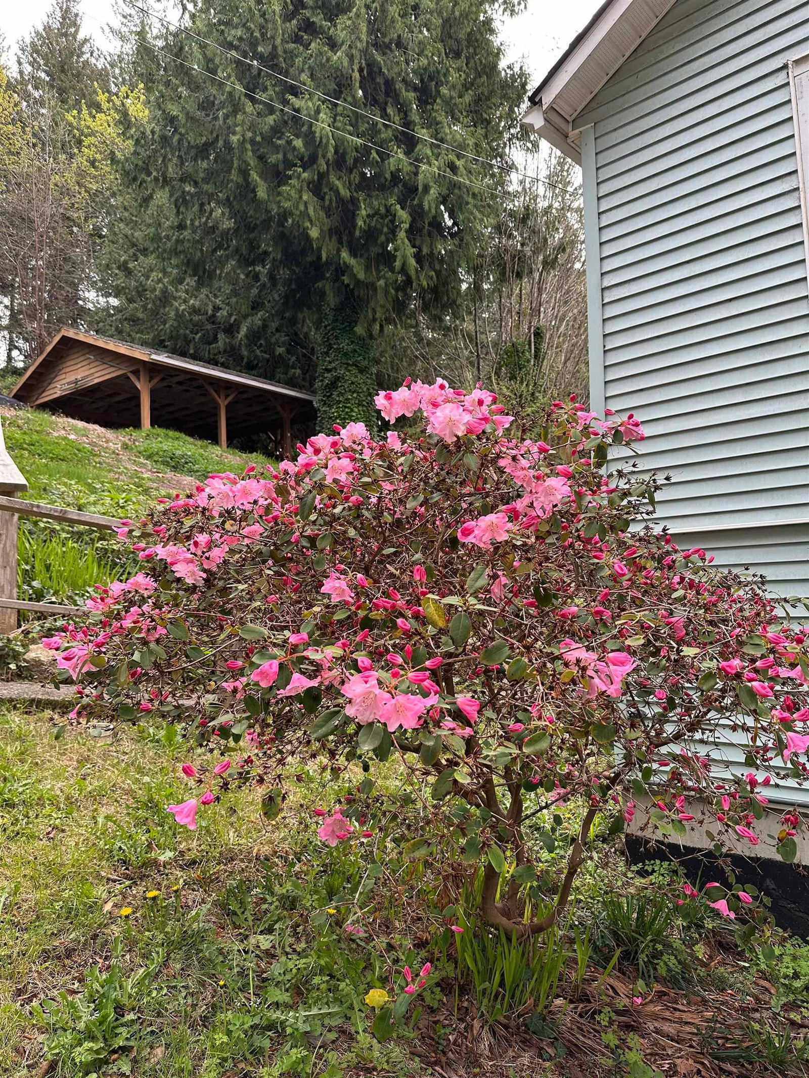 Listing Image 37