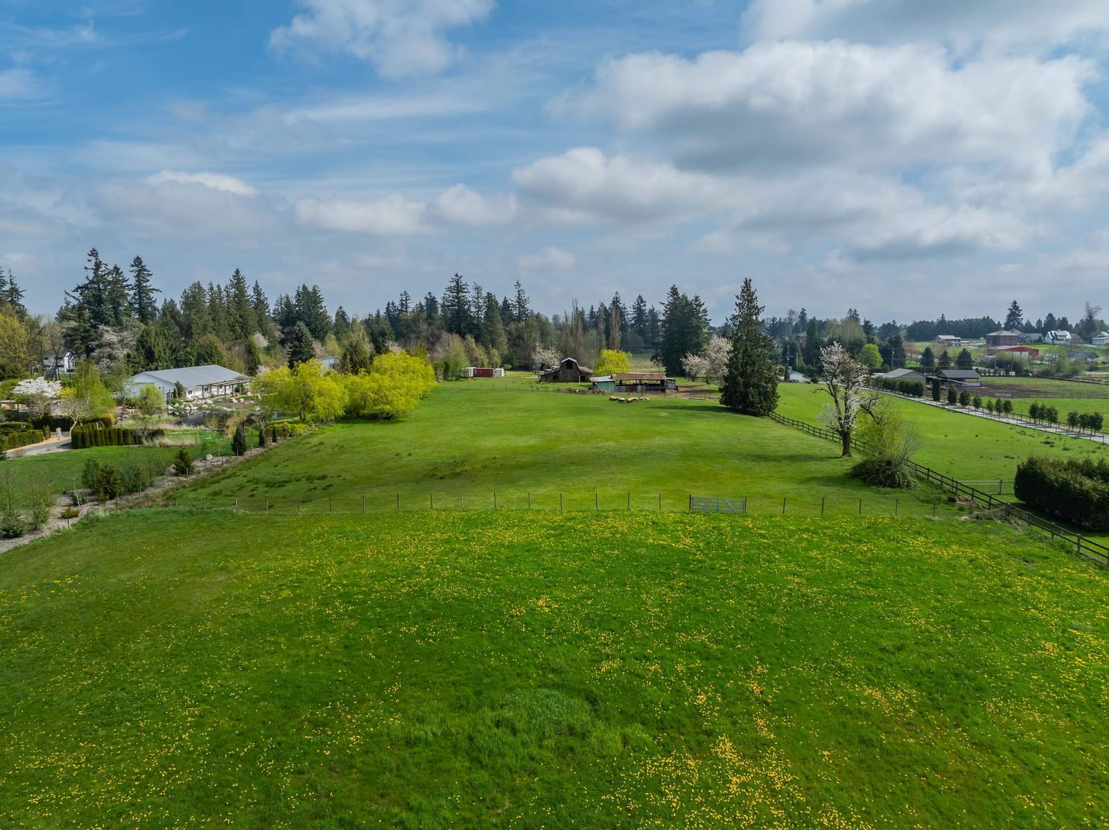Listing Image 16