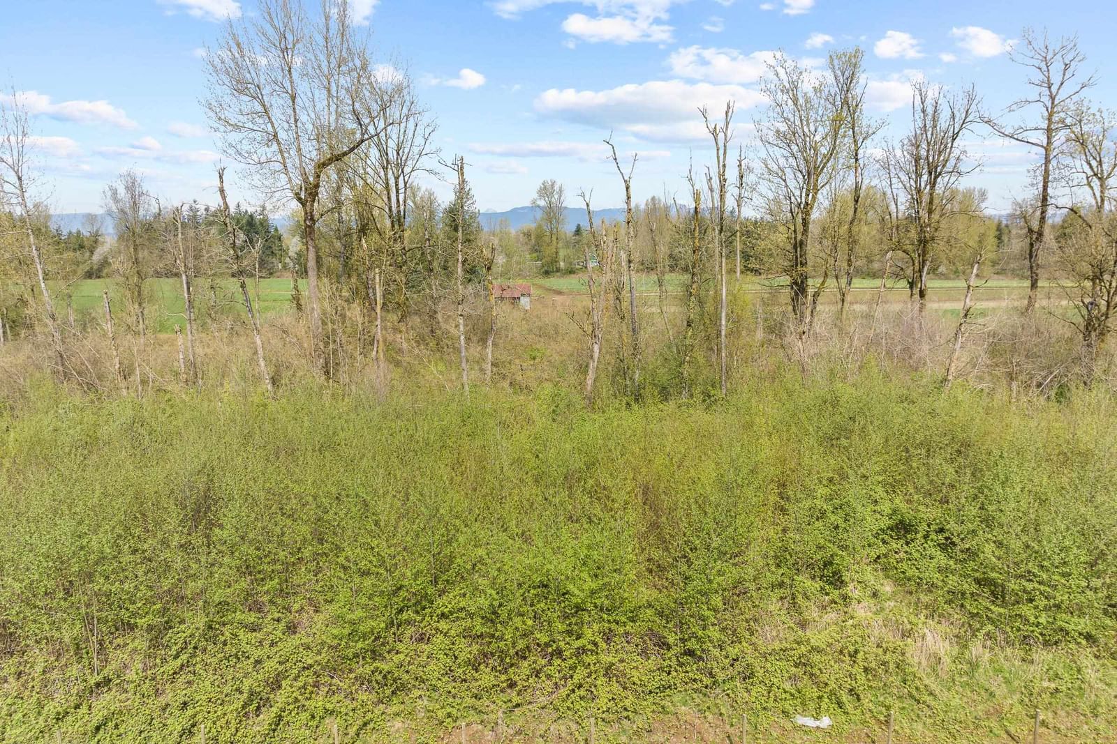 Listing Image 38