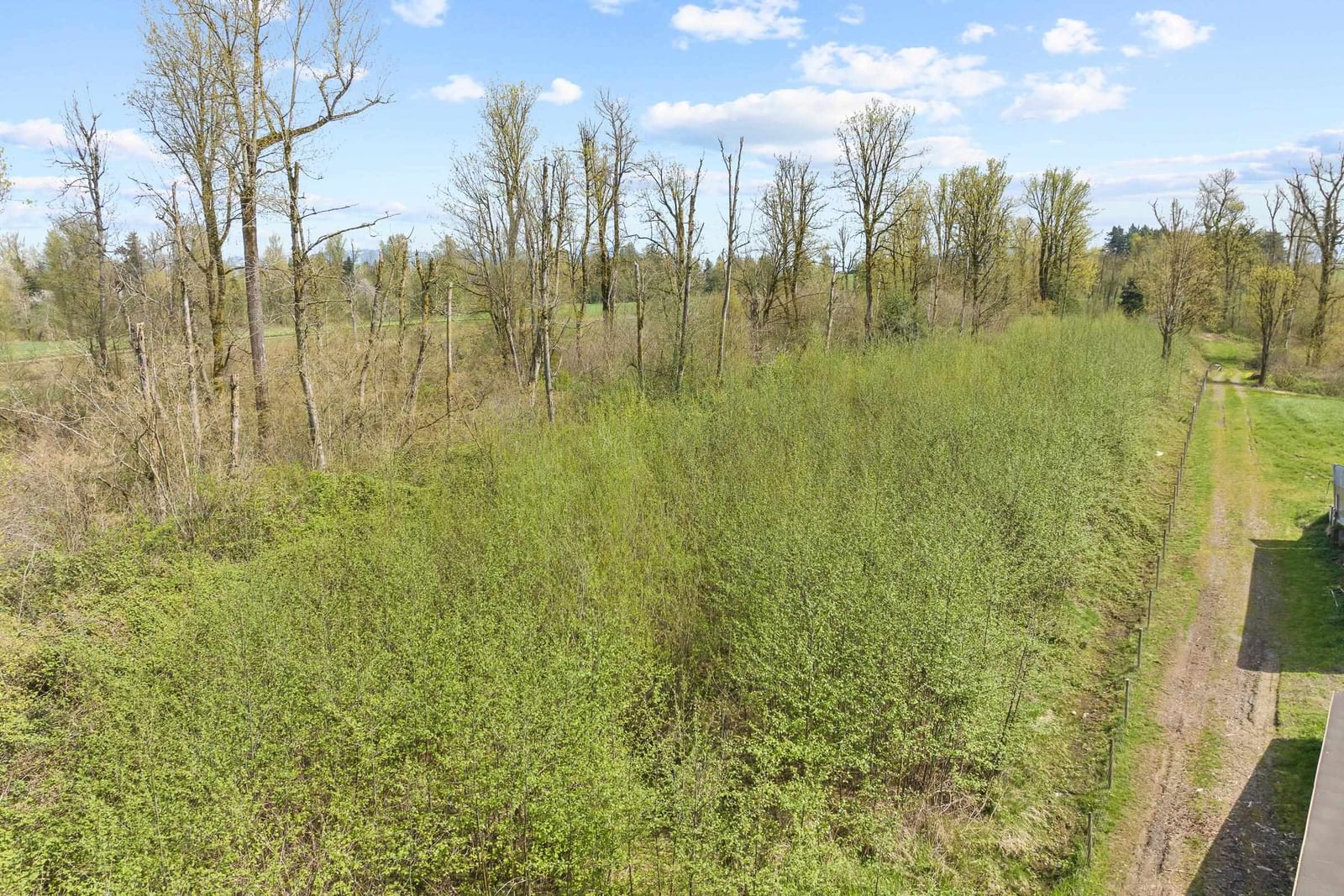 Listing Image 39