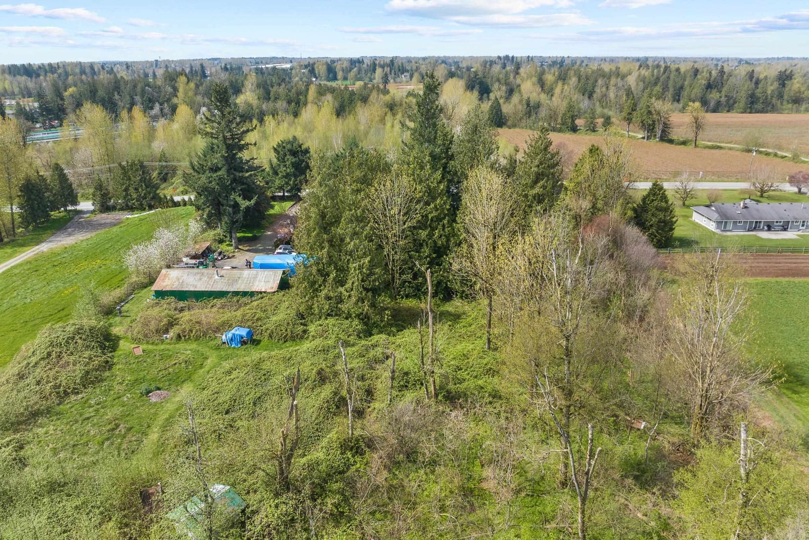 Listing Image 9