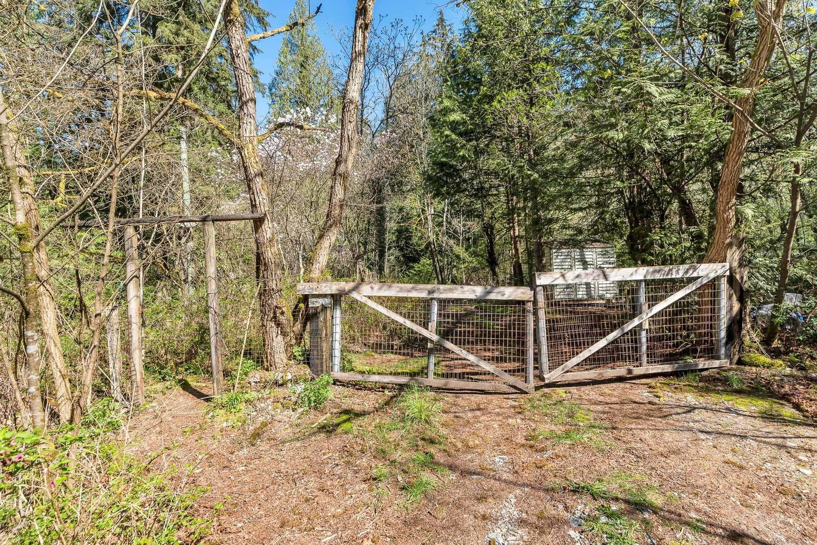 Listing Image 18