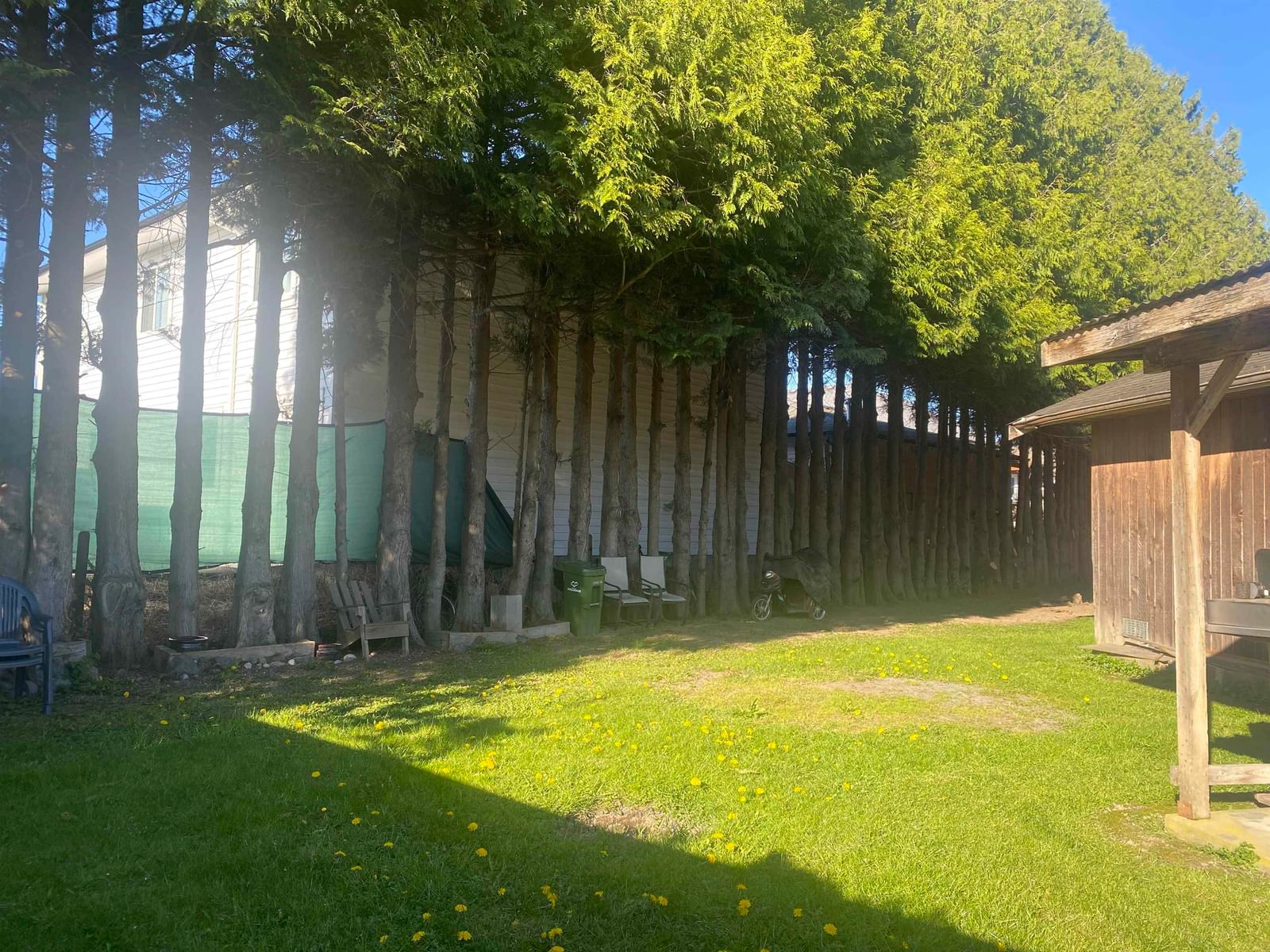 Listing Image 11