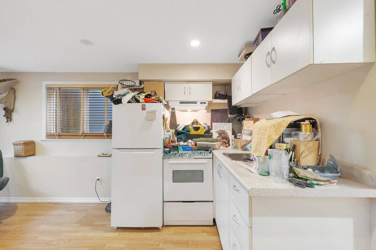 Listing Image 20
