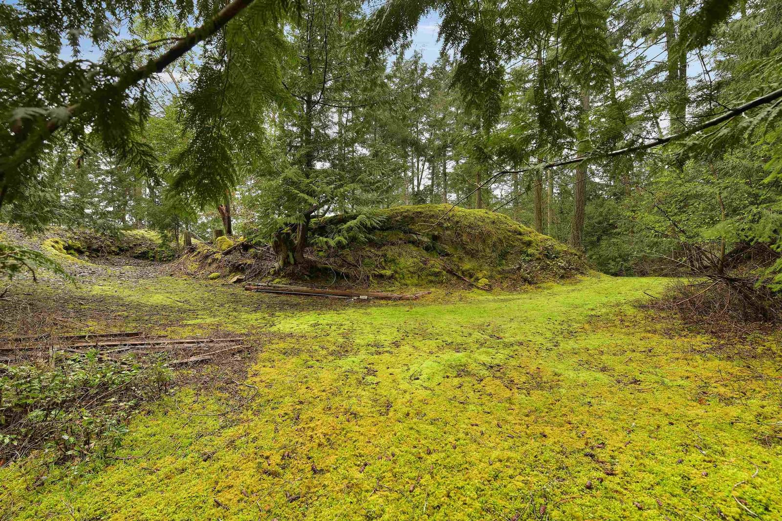 Listing Image 27