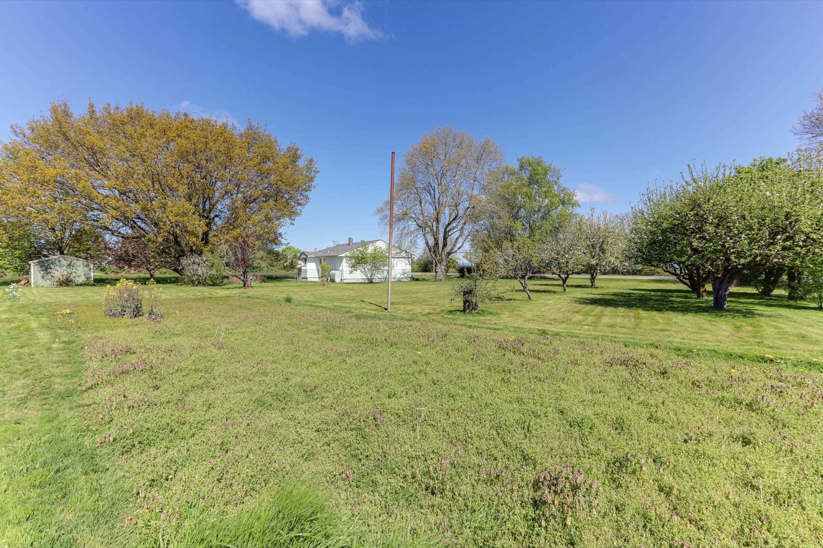 Listing Image 29