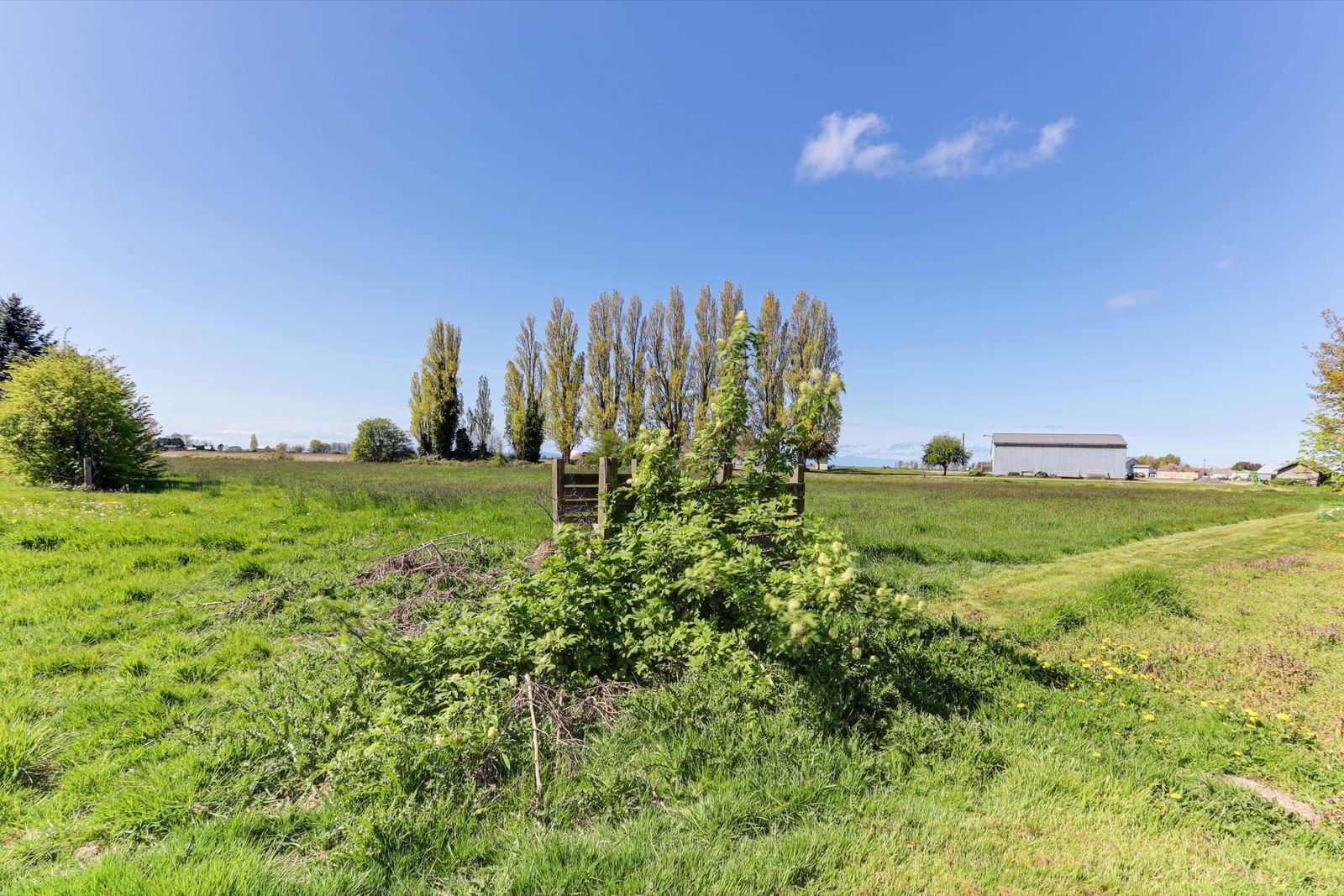 Listing Image 30