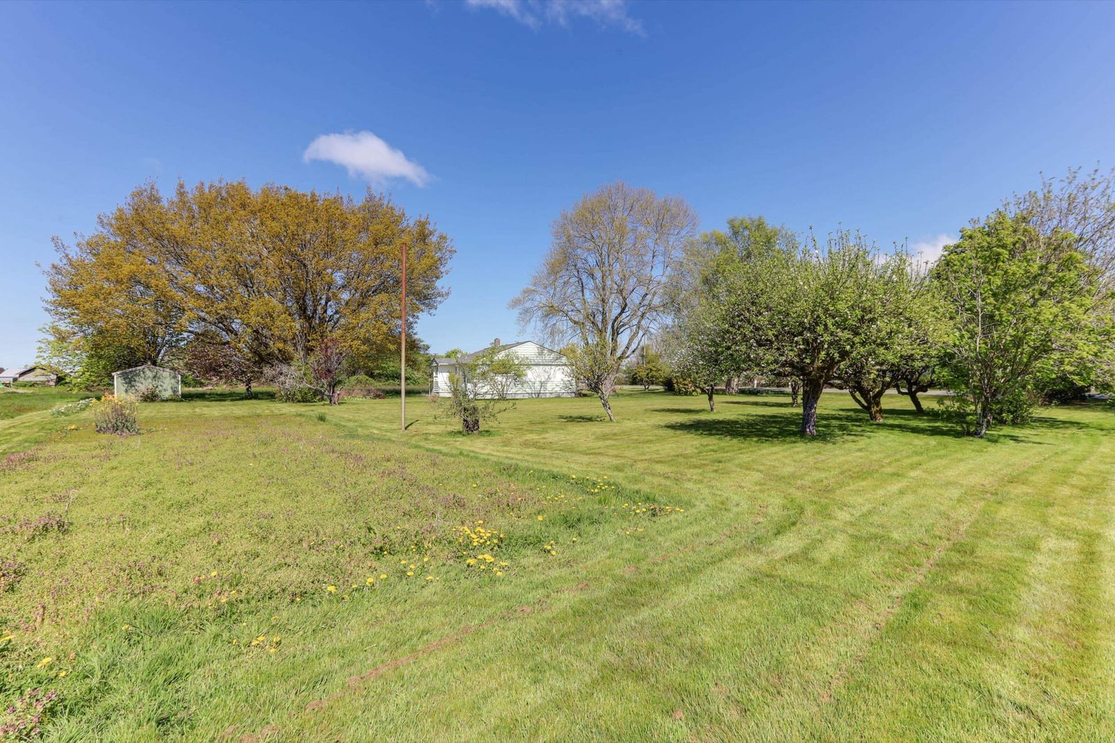 Listing Image 31