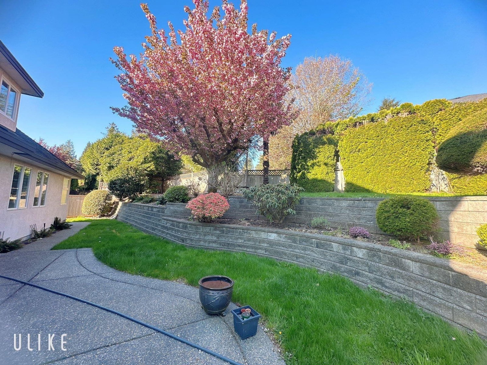 Listing Image 34