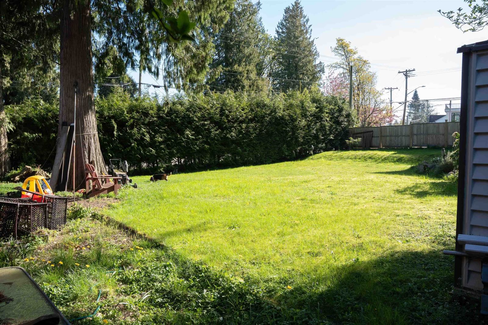 Listing Image 16